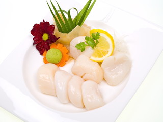 jakobsmuschel sashimi