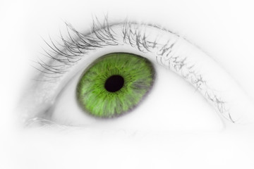 Green eye