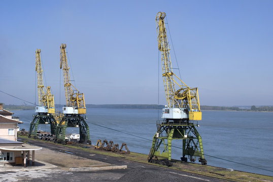 Cranes on the Danube river