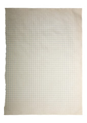 Obraz premium Torn squared sheet of paper