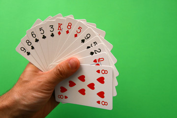 bridge cards