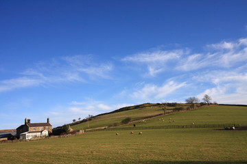 Fototapeta na wymiar Rural farmhouse and adjoining fields