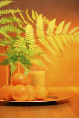 freshly squeezed orange juice