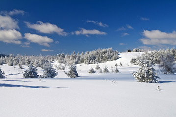 Fototapeta na wymiar Sunny winter day - House on hill, winter mountain scene