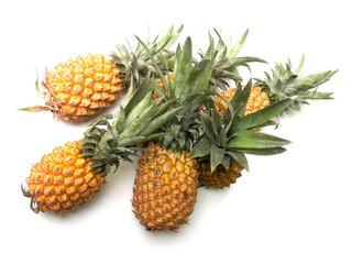 Fototapeta premium ananas 