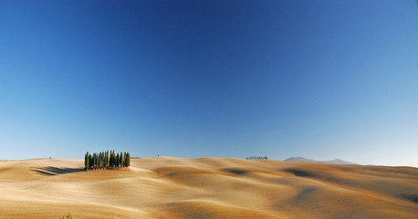 Obraz premium Tuscany