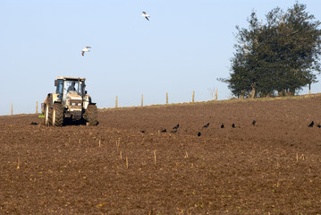 Tractor ploughing winter field in Shropshire, UK