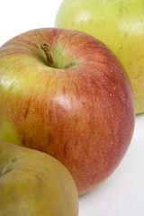 Fruits du verger - Pommes