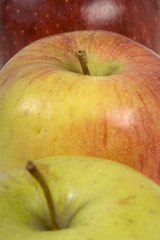 Fruits du verger - Pommes