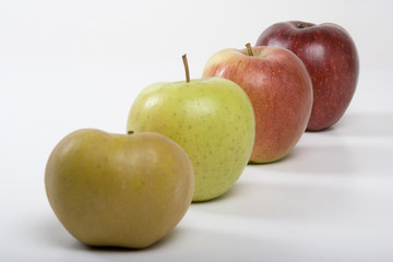 Fruits du verger - Pommes