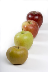 Fruits du verger - Pommes