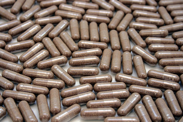 berries saw palmetto