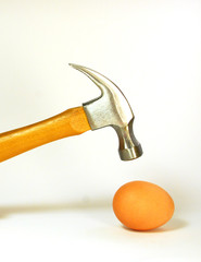 Hammer and Egg