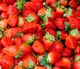 Fresh organic strawberry on the market for sale