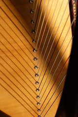 Obraz premium cordes de harpe