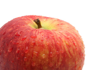 Apple. macro
