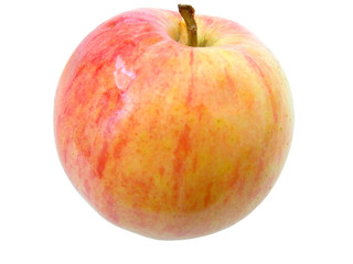 red juicy apple against the white background