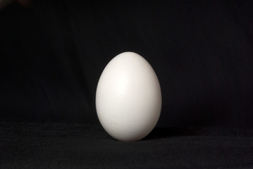 white egg 