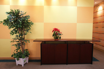 Small plant against an orange block pattern in an office lobby 