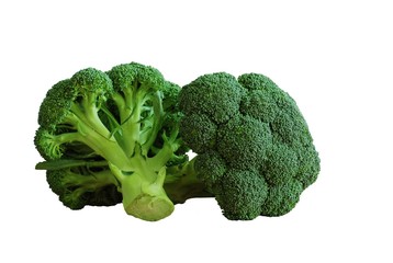 Isolated fresh green heads of broccoli