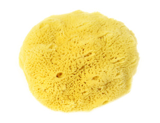 Natural sponge 