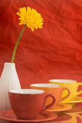 Row of color cups and beautiful yellow gerbera