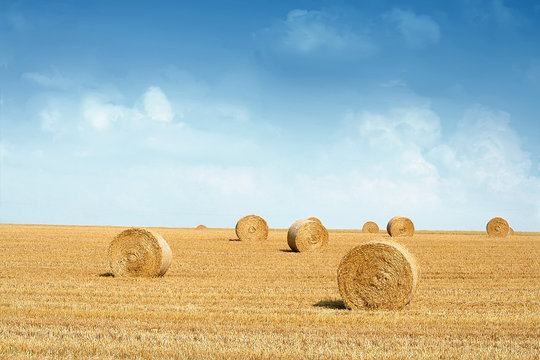 Strohballen liegen auf dem Feld