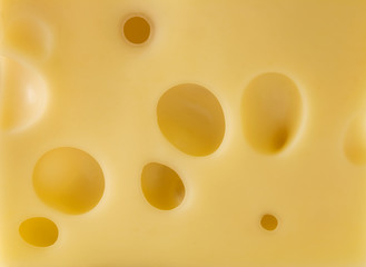 Swiss cheese 
