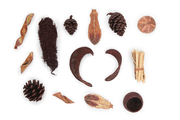 group of immorteles aromatic