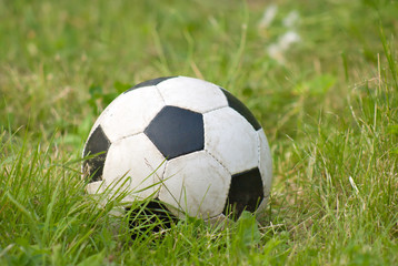 Soccer ball lies on green fresh grass