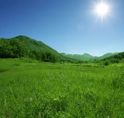 Rolgordijnen Zomer groene heuvels © Galyna Andrushko