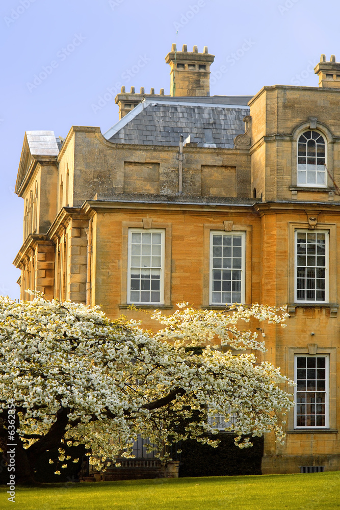 Sticker trees in blossom at overbury court worcestershire.