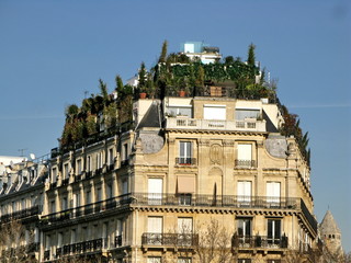 Terrasses arborées au dernier étage d'un immeuble, Paris