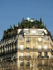 Terrasses arborées au dernier étage d'un immeuble, Paris