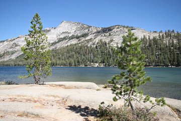 Ellery Lake in Yosemite Park