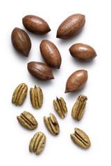 Pecans shown shelled and in their shells on a white background