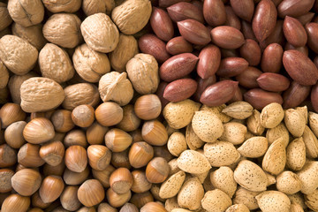 Walnuts, almonds, pecans and hazlenuts