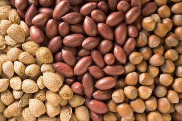 Mixed nuts in their shells