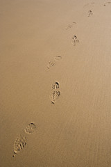 the path of footsteps at the beach