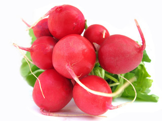 Radishes red fresh