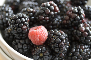 Blackberries