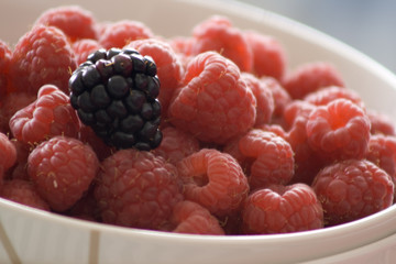 Bowl of Raspberries
