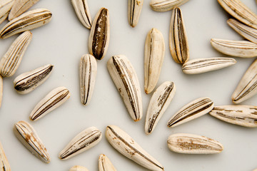 Sunflower seeds