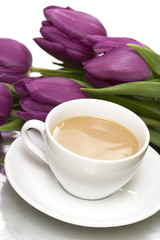 Fototapeta na wymiar biała filiżanka kawy z fioletowe tulipany