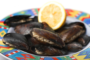  fresh mussels 