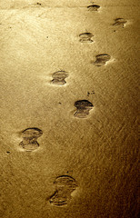 Footsteps in the sand at sunset