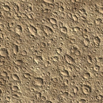 TEXTURE NATURE LUNE