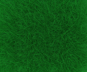 vegetable background from herb and plants