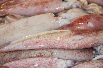 Singapore 393 © Siegfried Schnepf