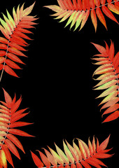 Flaming Scarlet Rowan Leaves 